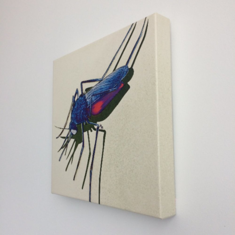 Mosquito - Original Wall Art print on 12 x 12 canvas - Picture 3 of 6